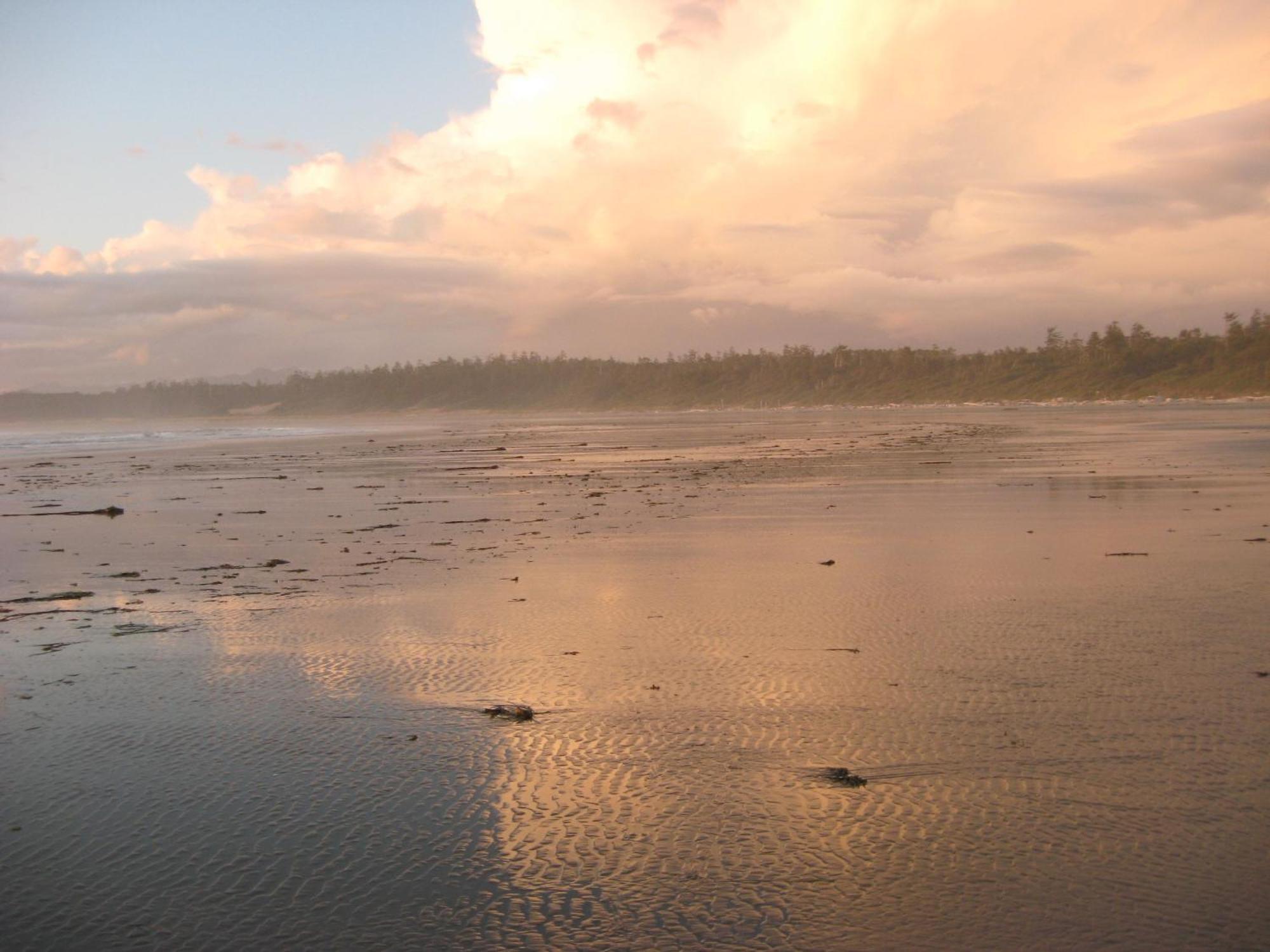Moon And Sixpence Bed & Breakfast Ucluelet Exterior foto